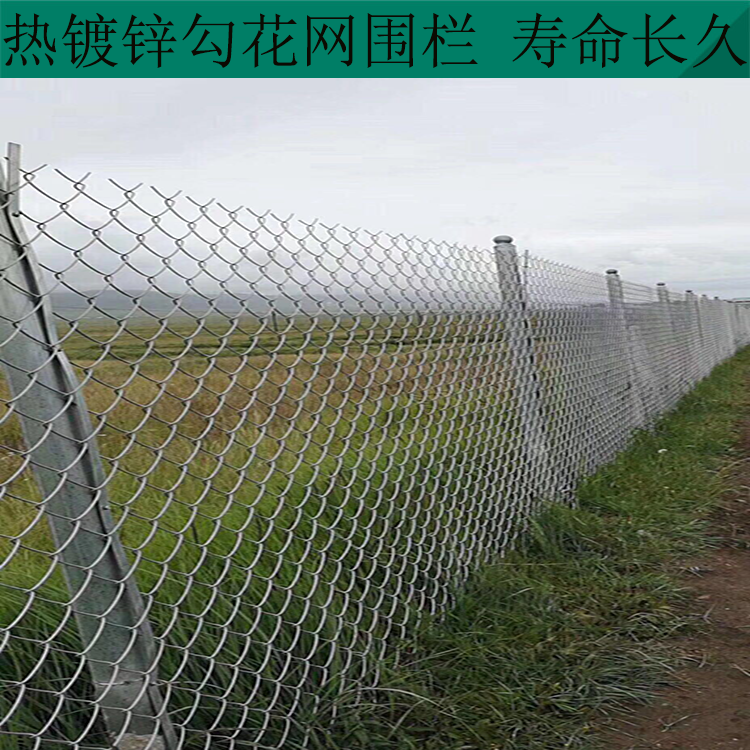 勾花網隔離網圖片2