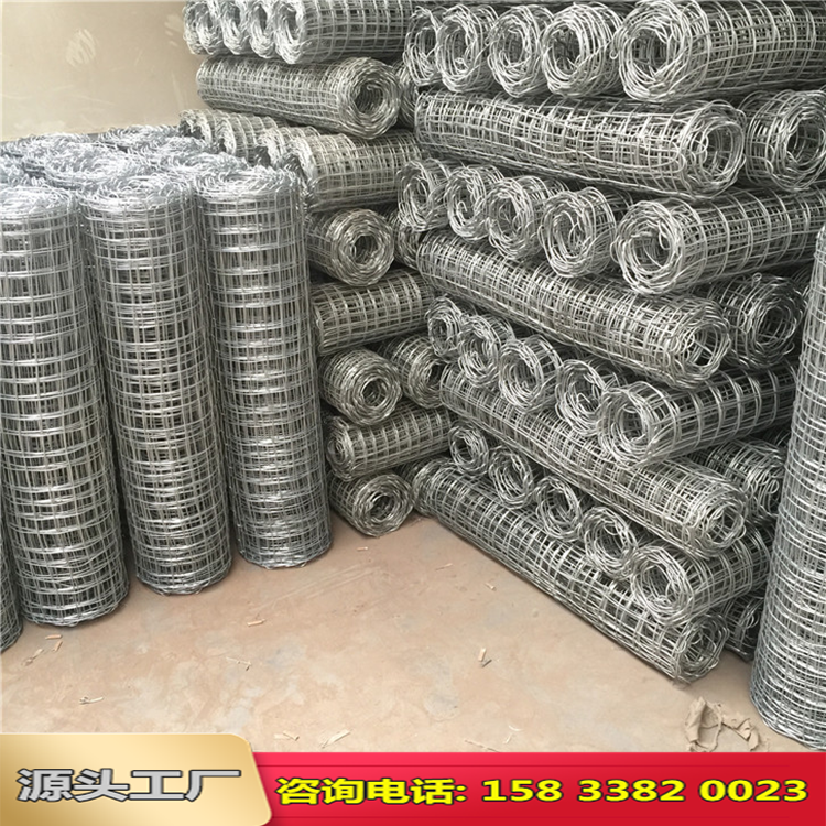 礦用經緯編織網